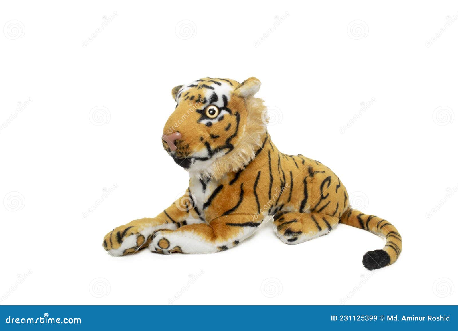 A Tiger Lying on the Ground with White Background Stock Image - Image of  fawn, figure: 231125399