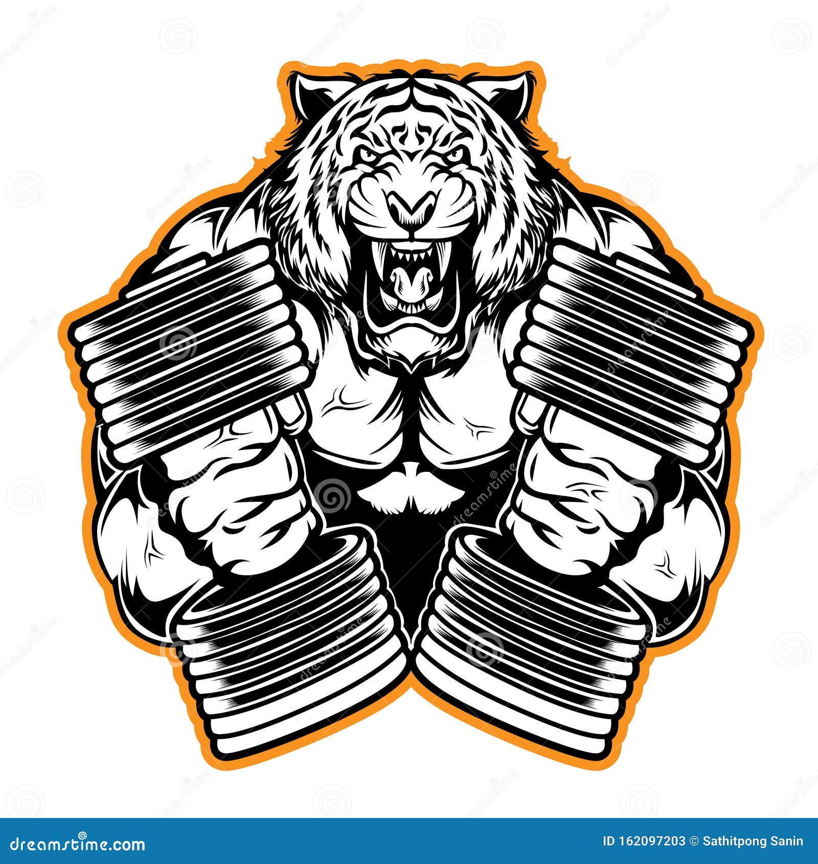 puur Observatie Doe herleven Tiger Gym Stock Illustrations – 240 Tiger Gym Stock Illustrations, Vectors  & Clipart - Dreamstime