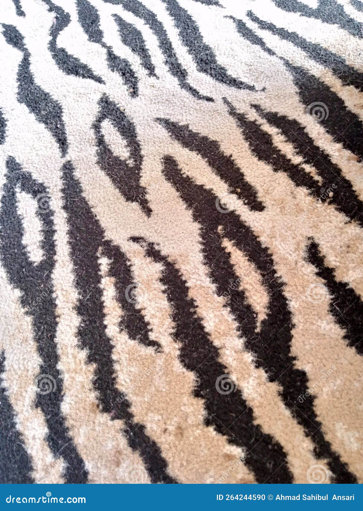 Tiger patterned carpet stock photo. Image of wildlife 264244590