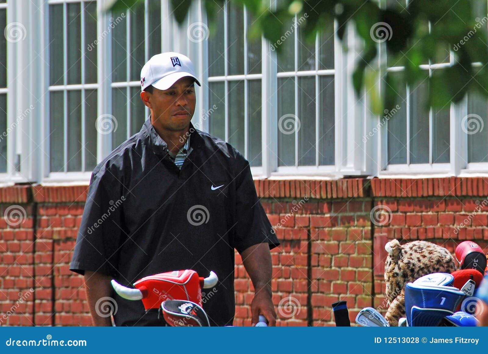 Tiger ready editorial stock photo. Image of infidelity 12513028