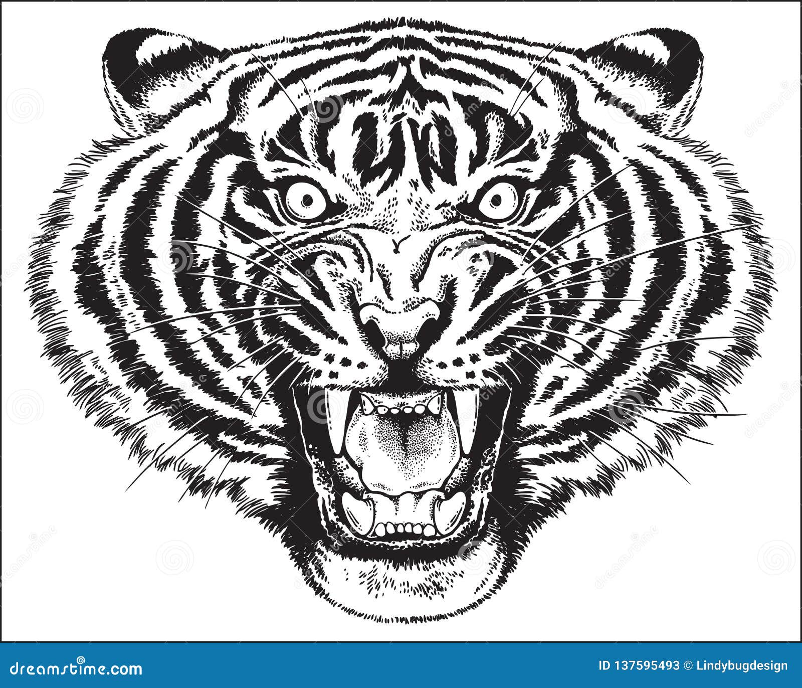 Angry Tiger Vector Images | Free Photos, PNG Stickers, Wallpapers &  Backgrounds - rawpixel