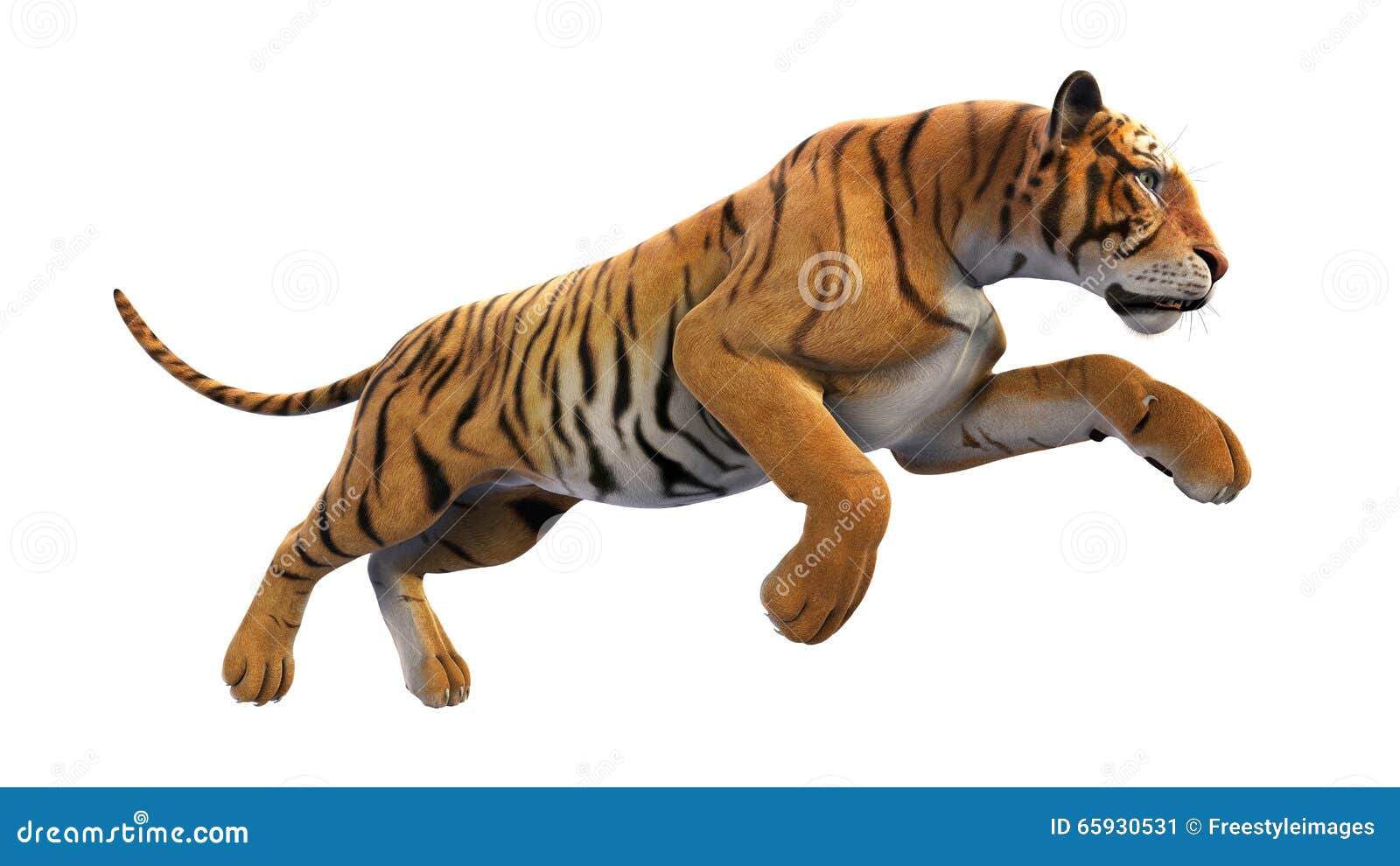 33,025 Animal Running White Background Stock Photos - Free & Royalty-Free Stock Photos from Dreamstime 33,025 Animal Running White Background Stock Photos - Free & Royalty-Free Stock Photos from Dreamstime