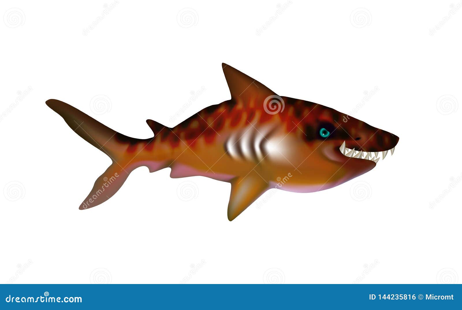 Tiger Shark Vector Art, Icons, and Graphics for Free Download