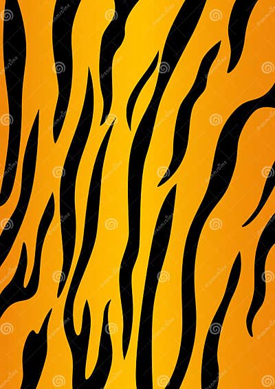 Tiger skin stock vector. Illustration of skin, natural - 10027315