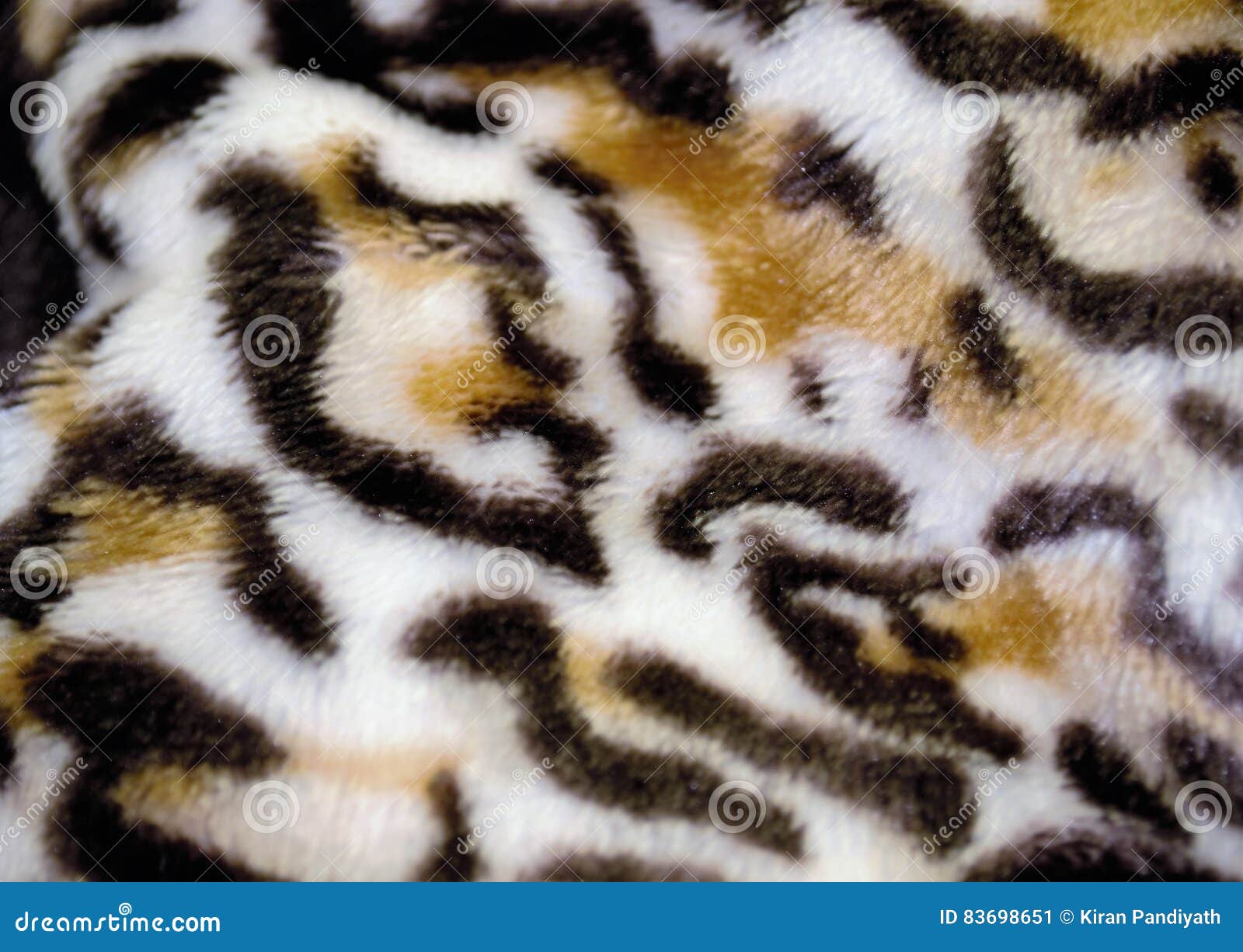 Tiger Skin Pattern Conch Design Stock Image - Image of conch, textile ...