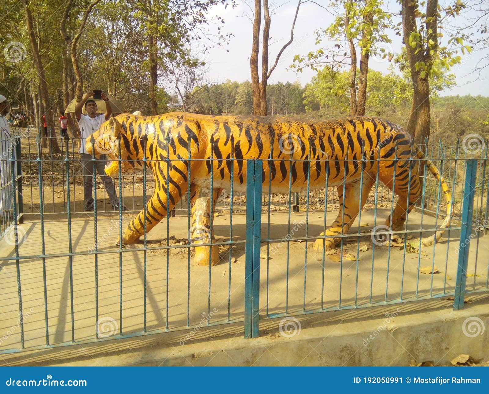 The Tiger Statue, Royel Bengol Tiger Editorial Photo - Image of tiger, royel: 192050991 The Tiger Statue, Royel Bengol Tiger Editorial Photo - Image of tiger, royel: 192050991
