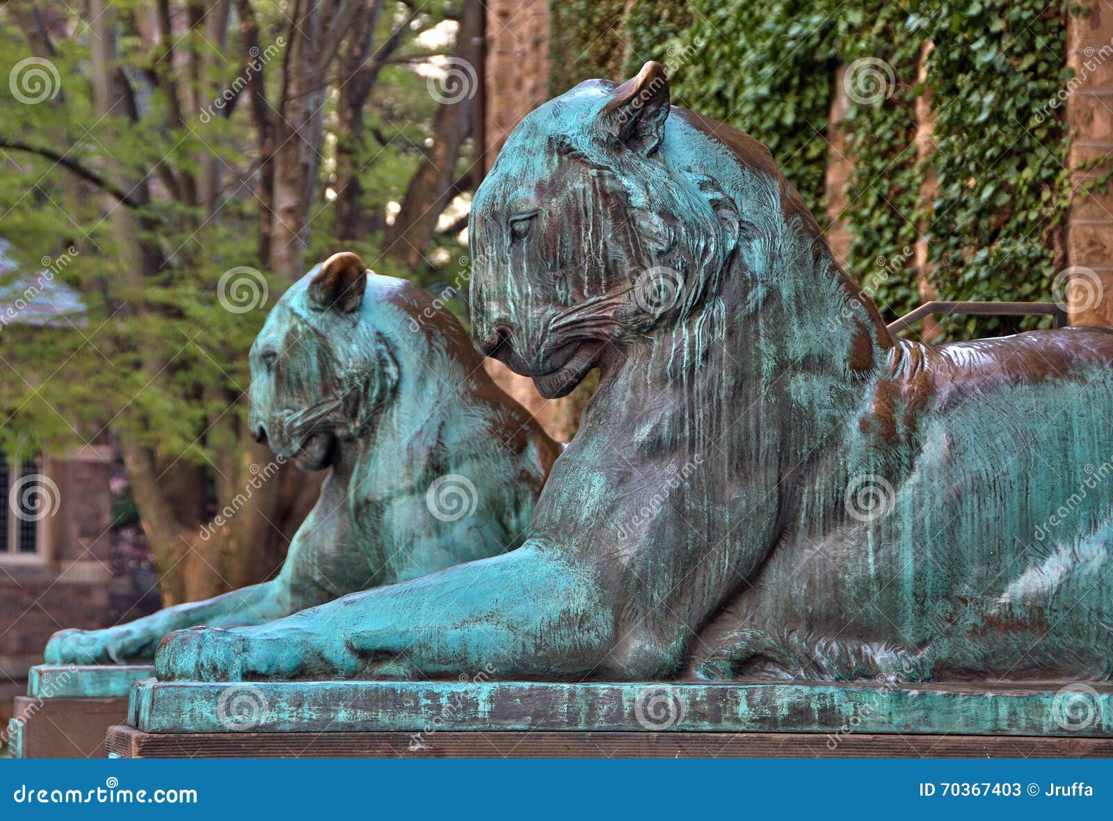 tiger statues at princeton university