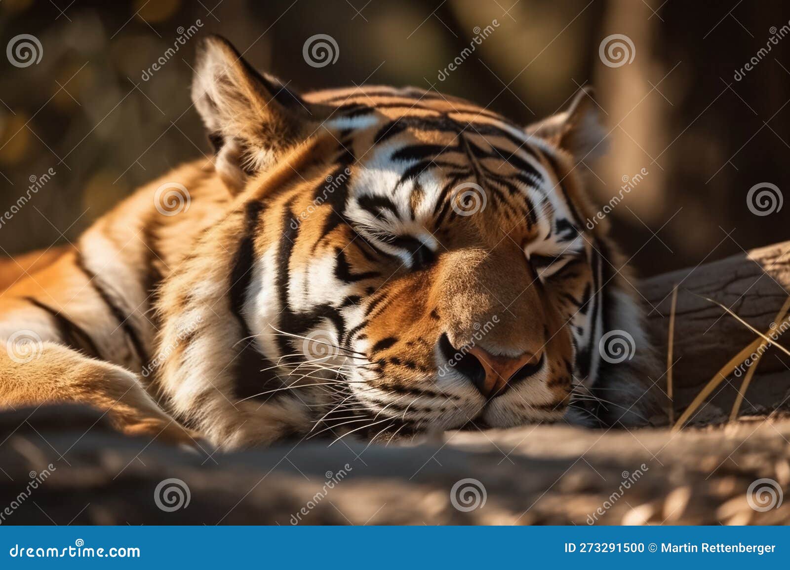 tiger taking a nap - generative ai 