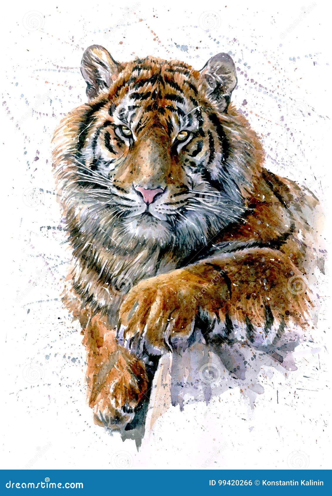 tiger