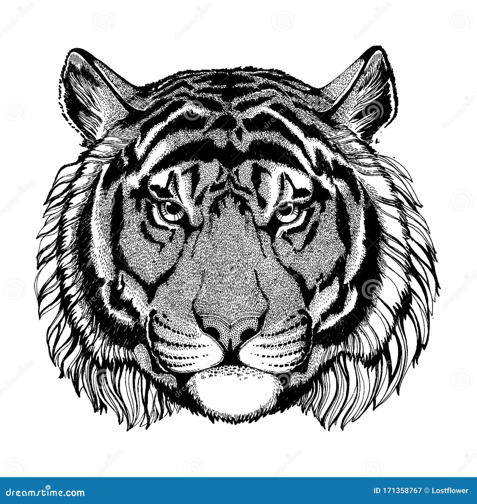 Tiger. Wild Animal for Tattoo, Nursery Poster, Children Tee, Clothing ...