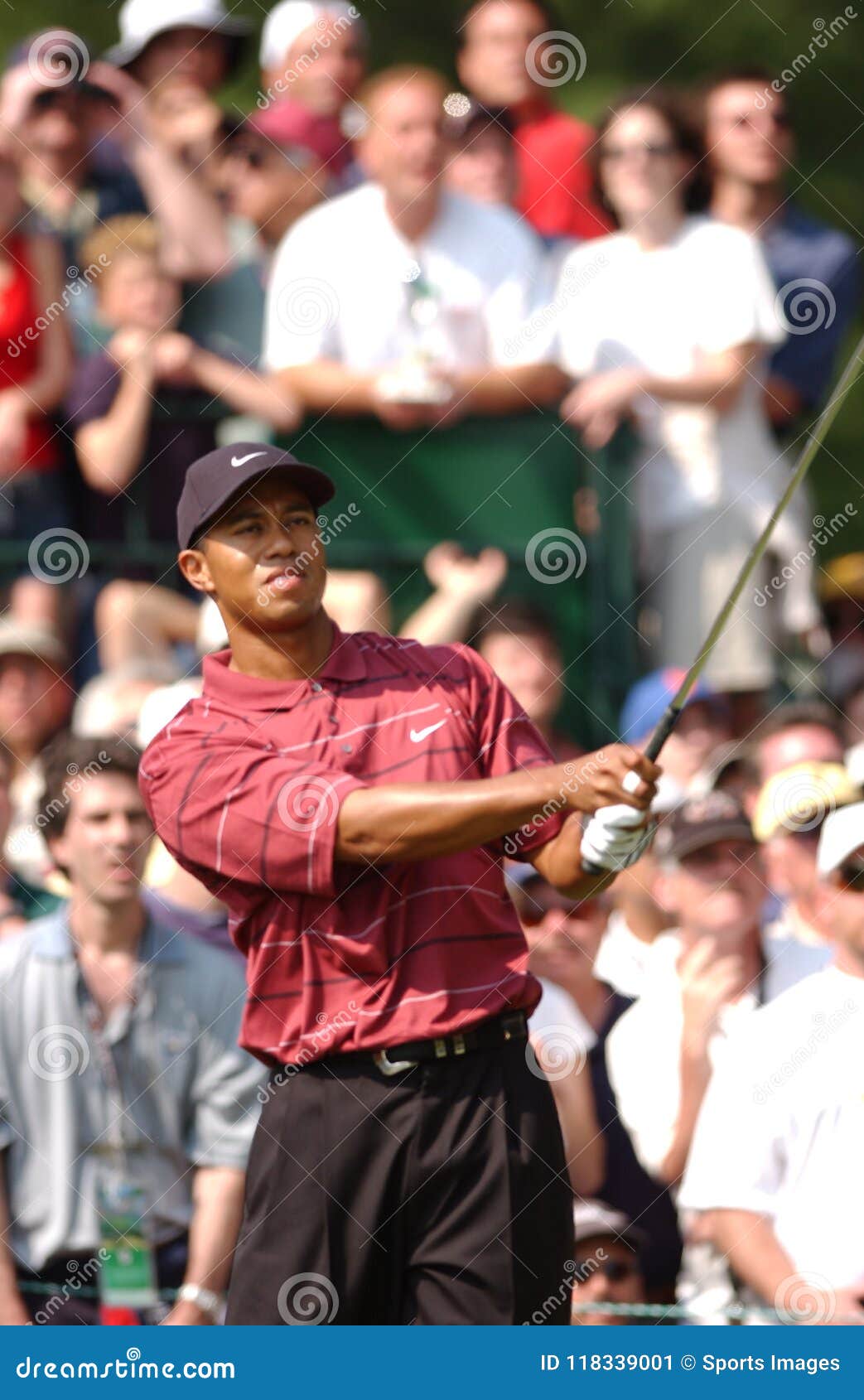 Tiger Woods Professional Golfer Redaktionell Bild - Bild av beröm ...