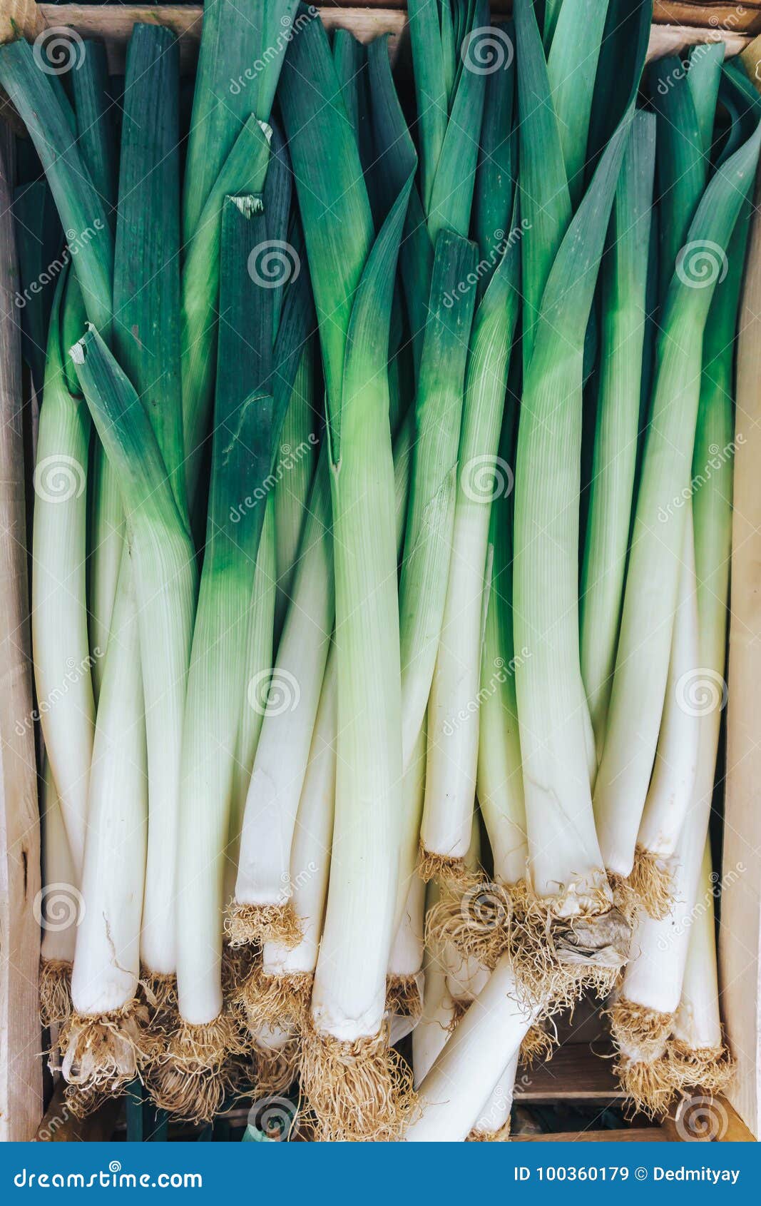 Tiges Des Poireaux Legumes Verts Produit Local Du Marche Dans Une Fin De Boite Vers Le Haut D Image Image Stock Image Du Above Agriculture Tiges Des Poireaux Legumes Verts Produit Local Du Marche Dans Une Fin De Boite Vers Le Haut D Image Image Stock Image Du Above Agriculture