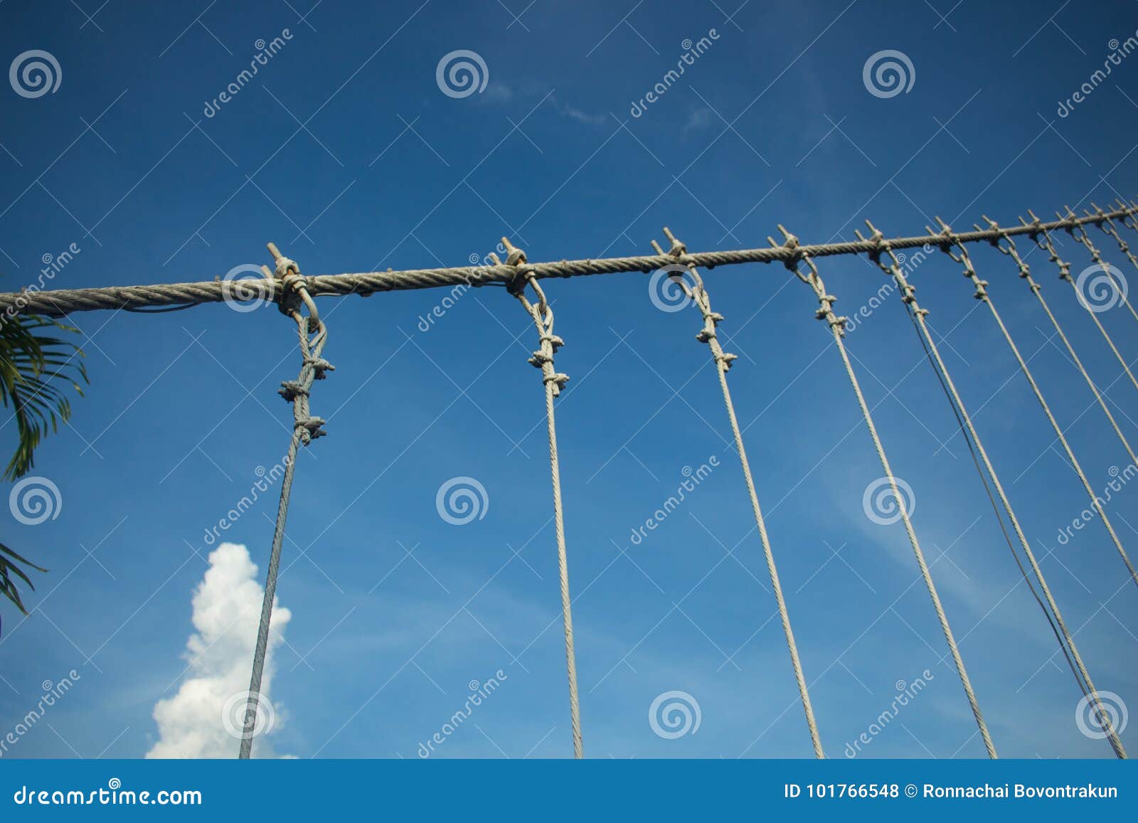 Tight Cables, Tighting Cables Stretching the Bridge Stock Photo Image