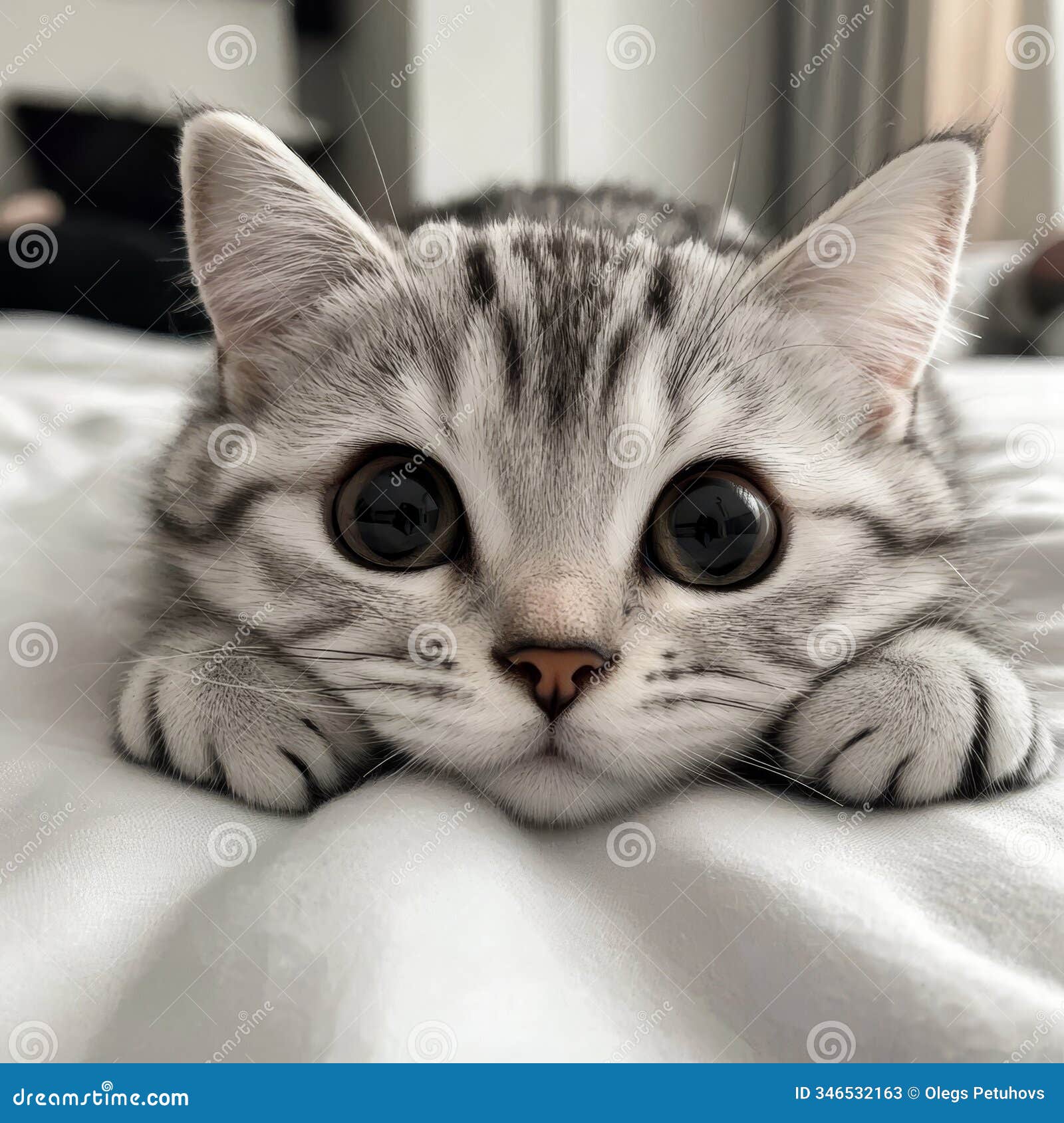 a tight shot of a cat resting atop a white-sheeted bed, with a figure in the background