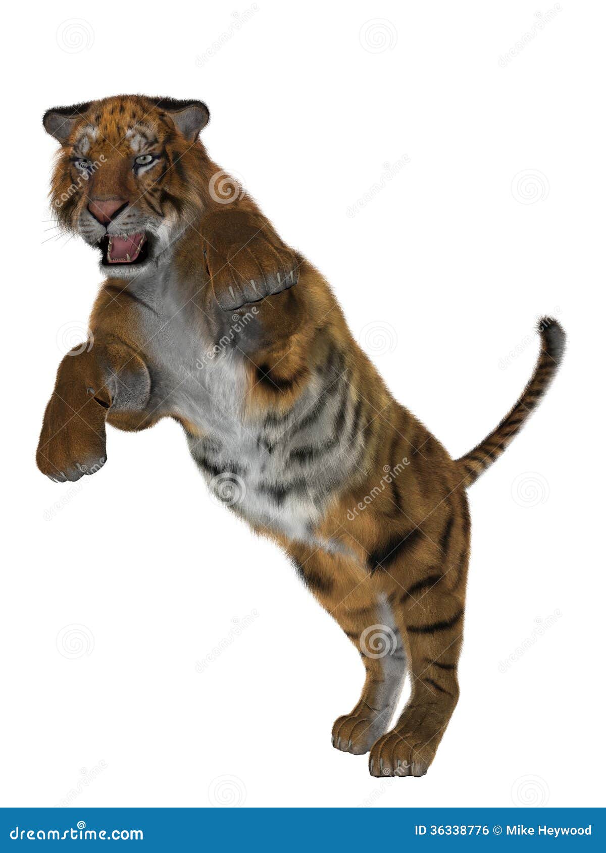 Tigre 3D foto de stock. Imagem de isolado, animal, grande - 36338776