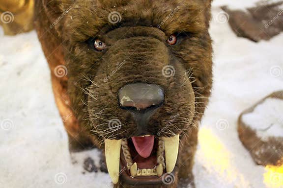 Interruttore Sedili Riscaldati Per Ford Transit Cougar, Courier Custom Escort Fiesta Mondeo Ranger Streetka 93BG19K314AA, 6706942, 93BG 19K314 AA AUTORCE - Foto 8