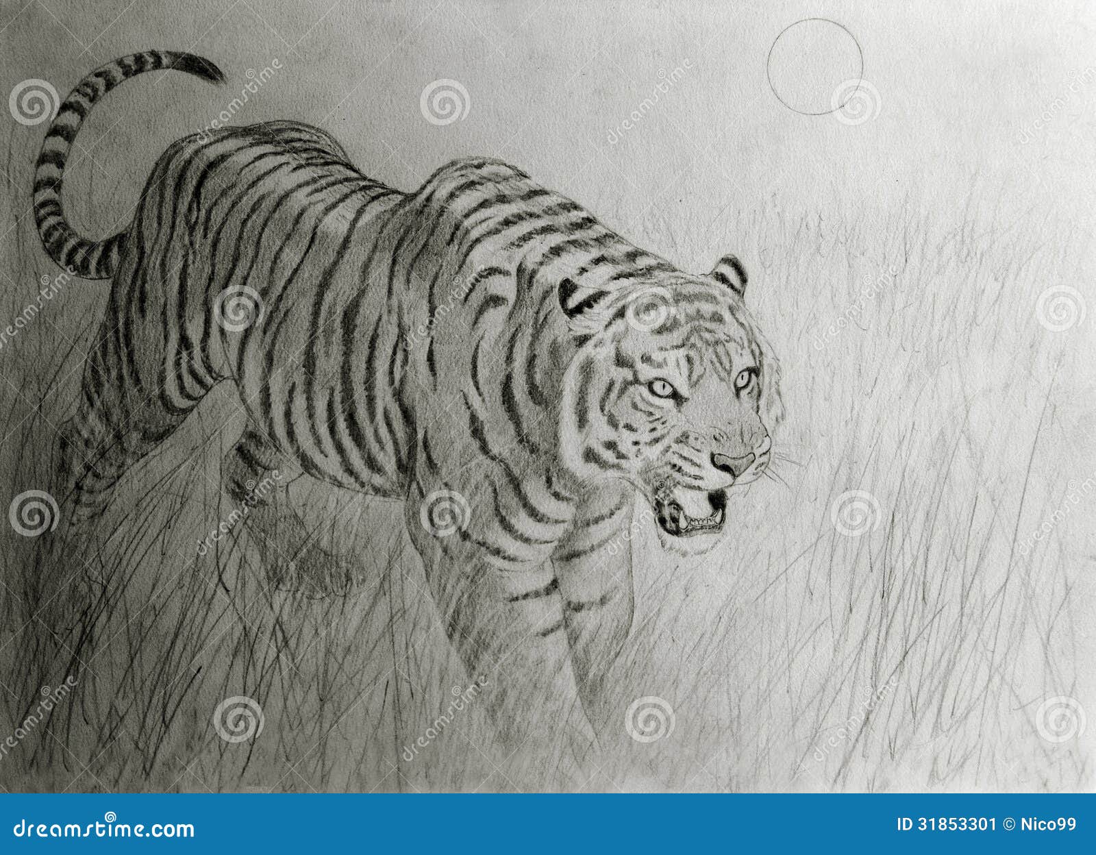 Tigre De Bengala En La Puesta Del Sol Stock de ilustración - Ilustración de  animal, pintura: 31853301