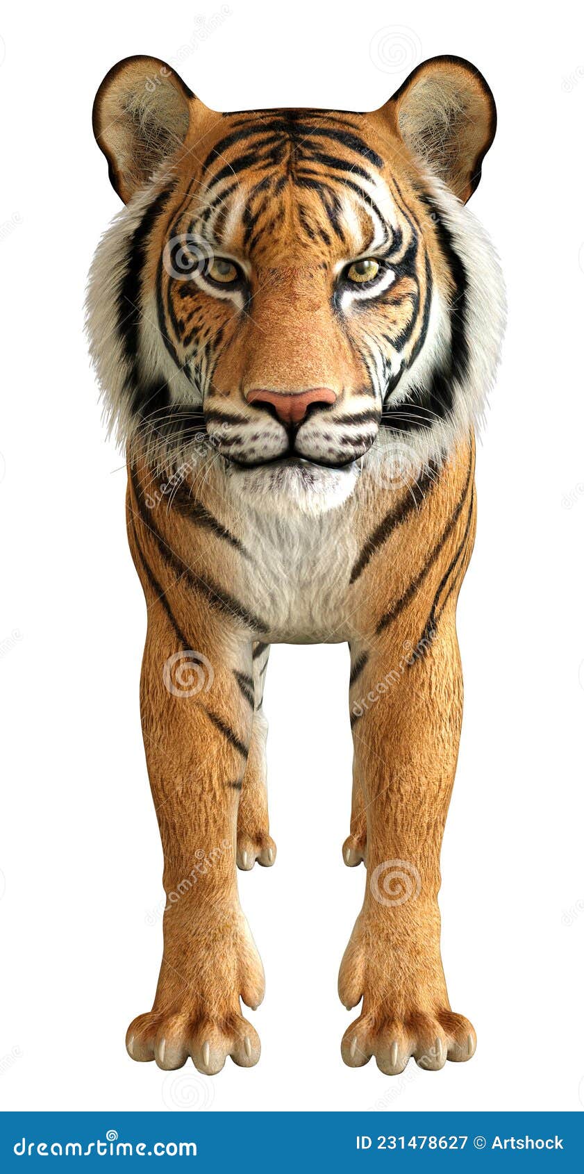 Renderização 3d De Um Grande Tigre De Gato Isolado No Fundo Branco