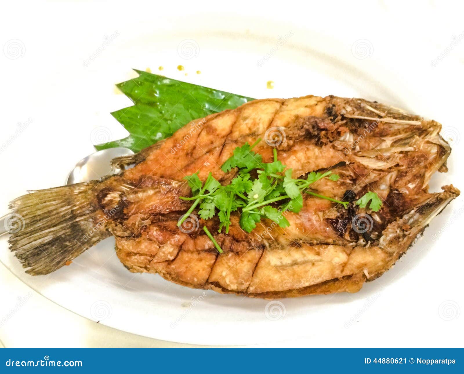 Tilapia frita imagen de archivo. Imagen de frito, alimento 44880621