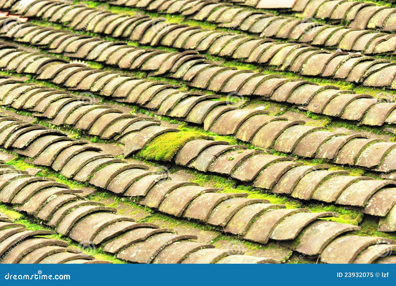 Tile roof with moss stock image. Image of rows, roofline 23932075