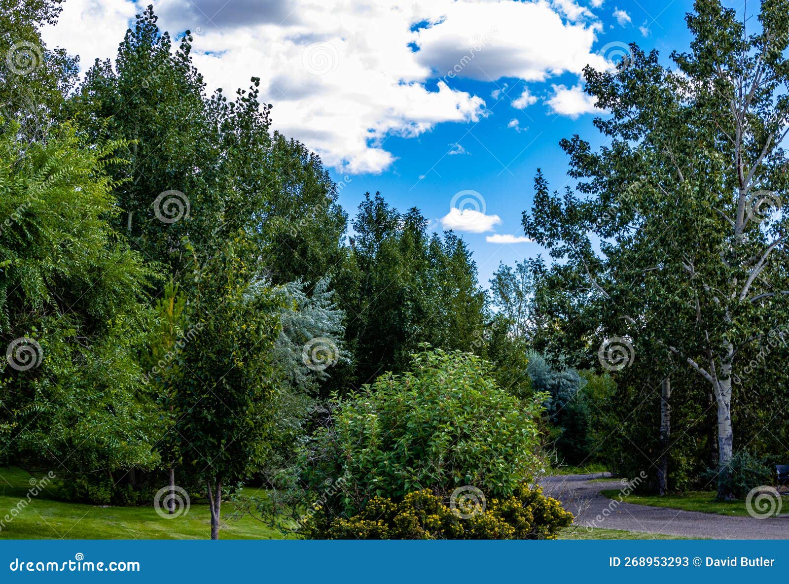 Tillebrook Provincial Park Alberta Canada Stock Image Image of