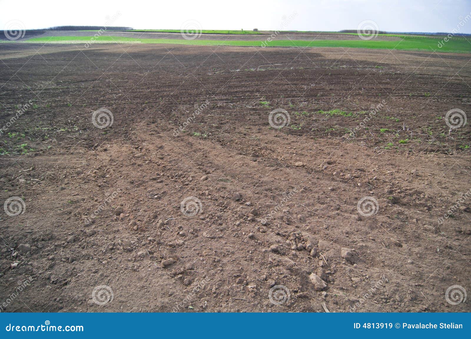 Tilled Field stock image. Image of agriculture, tilled 4813919