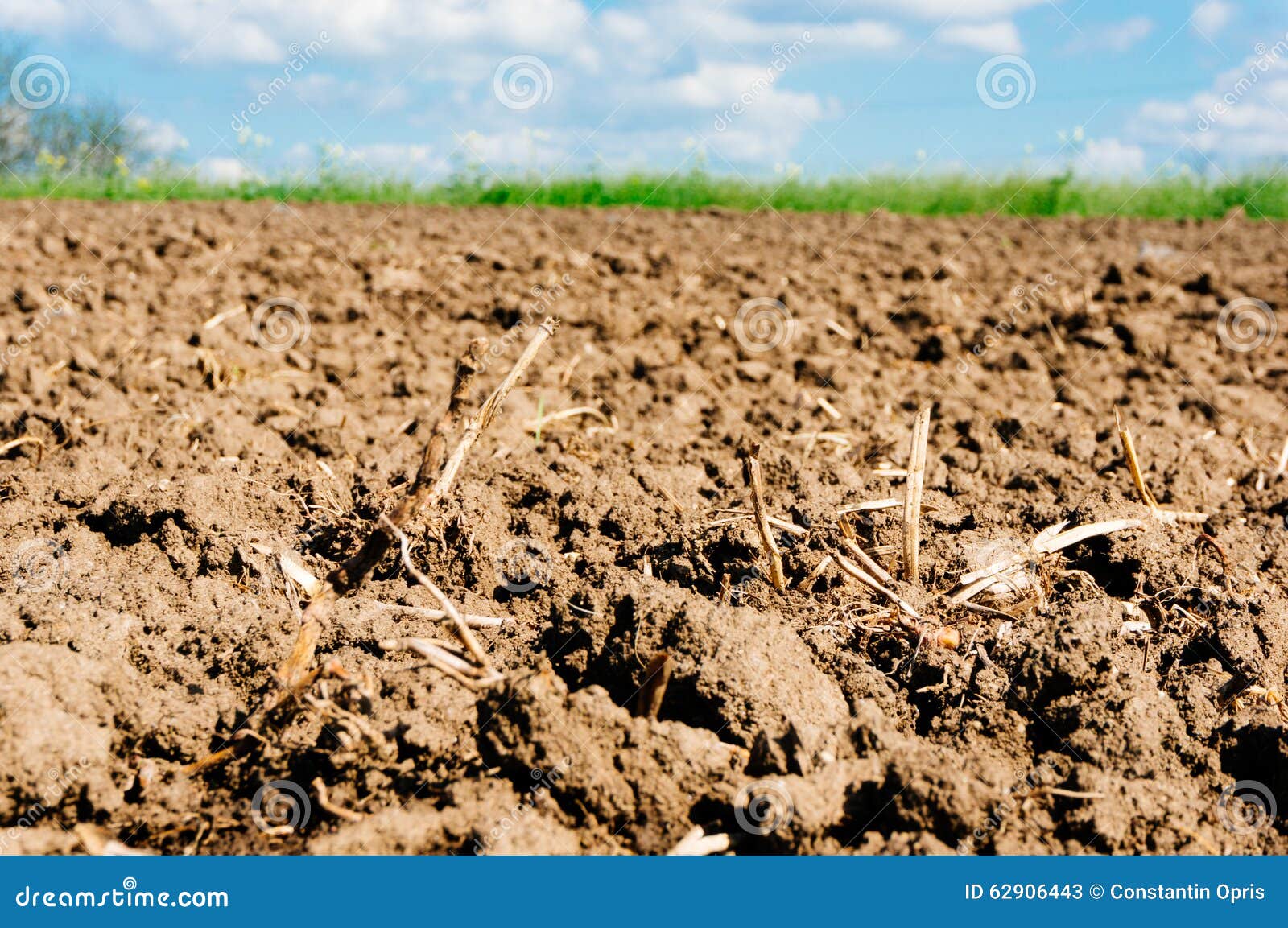 Tilled field stock image. Image of soil, ground, clods 62906443