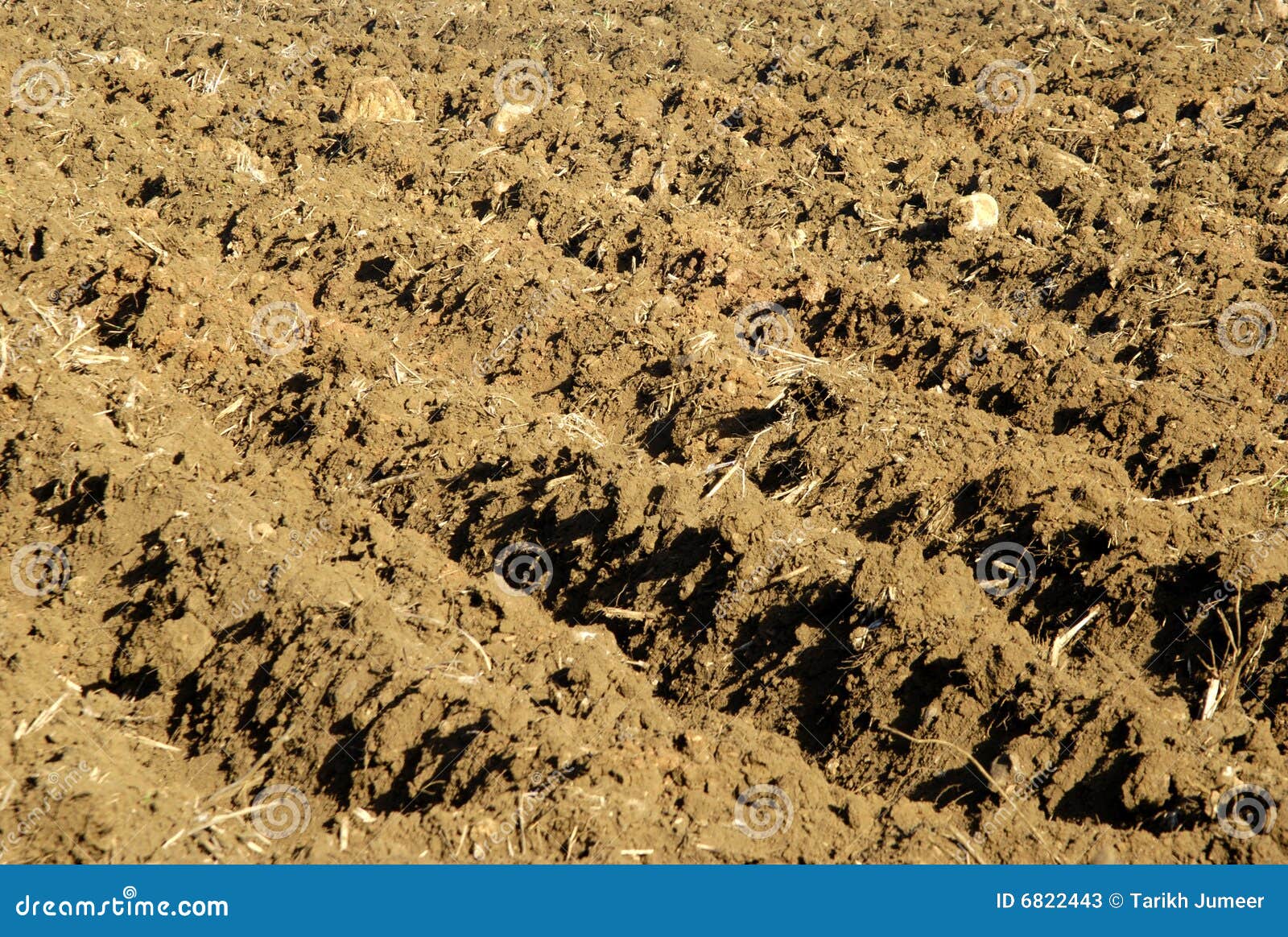 Tilled soil stock image. Image of seed, fertilize, cultivate 6822443