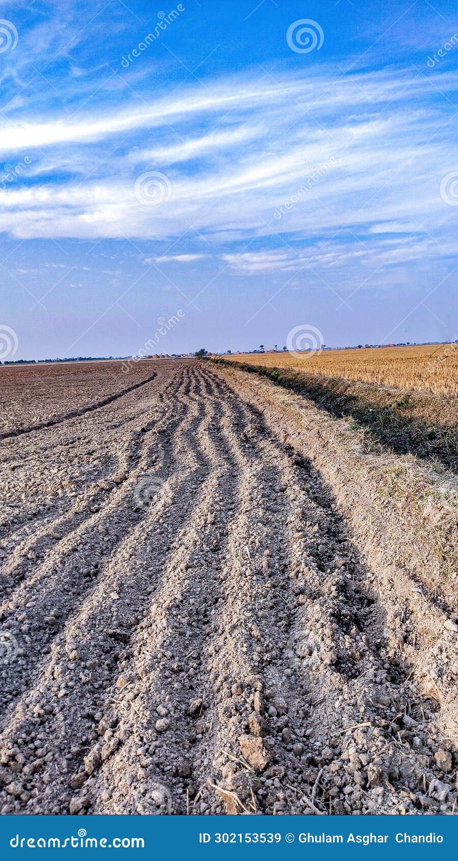 tilled soil ridges furrows in dry ploughed field agriculture farming land farm sol laboure, suelo labrado, solo arado, image photo