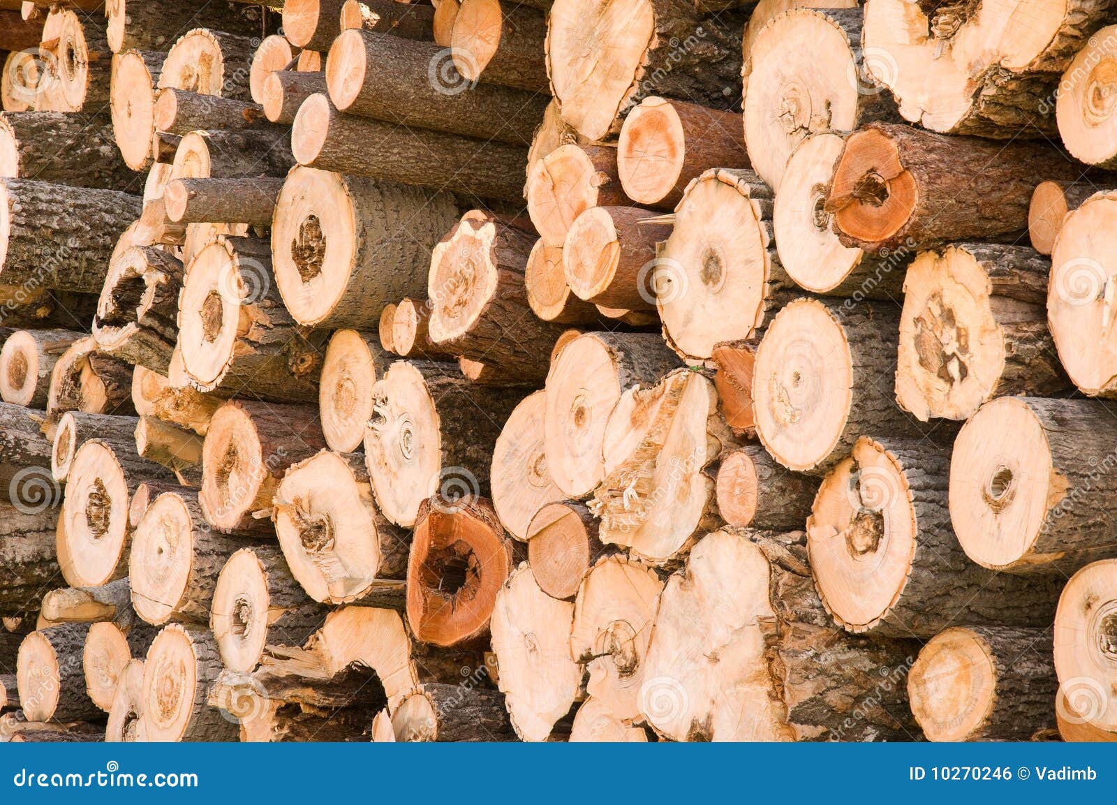 Timber stock photo. Image of timber, materials, bole 10270246