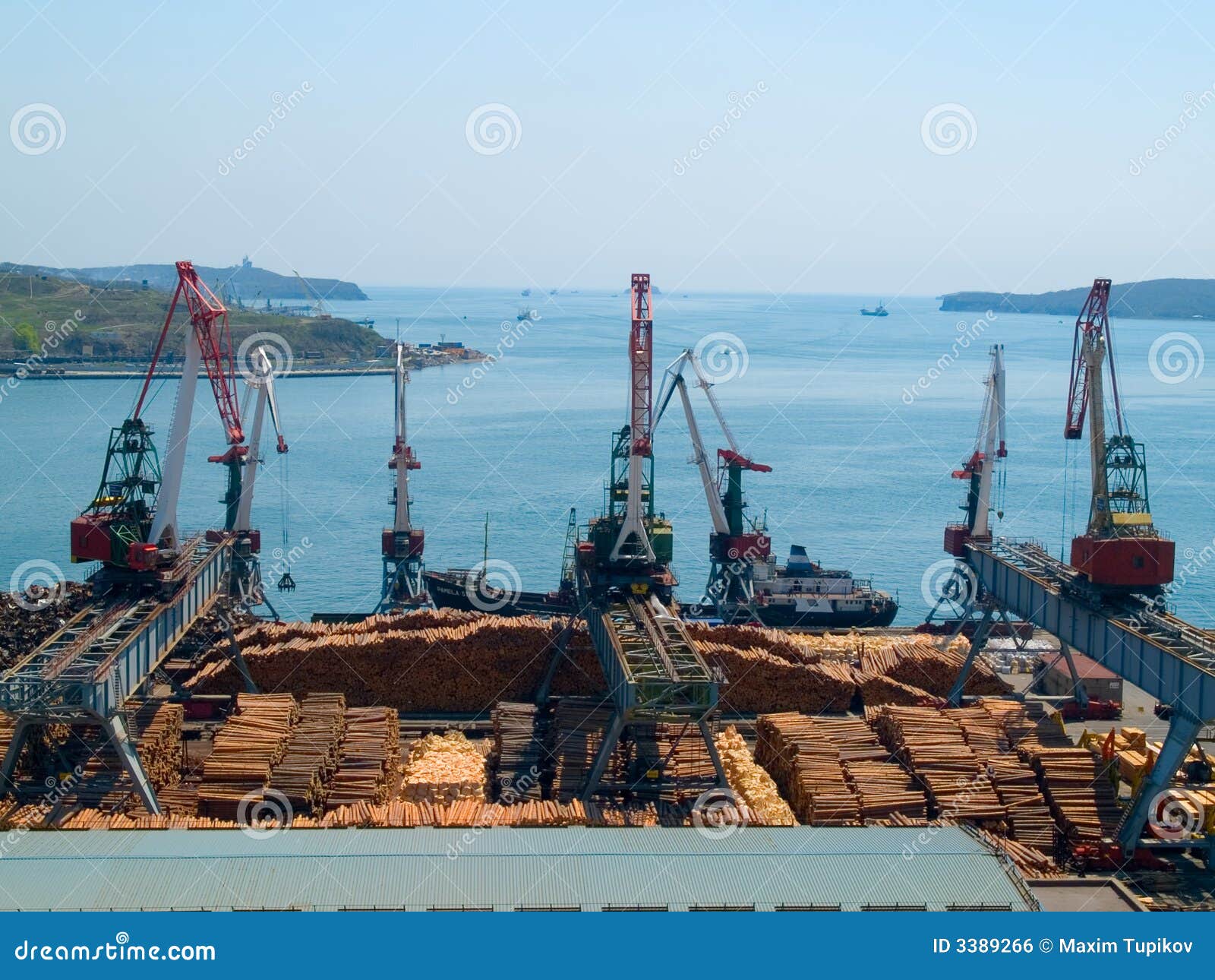 timber export at cargo port stock photo - image of