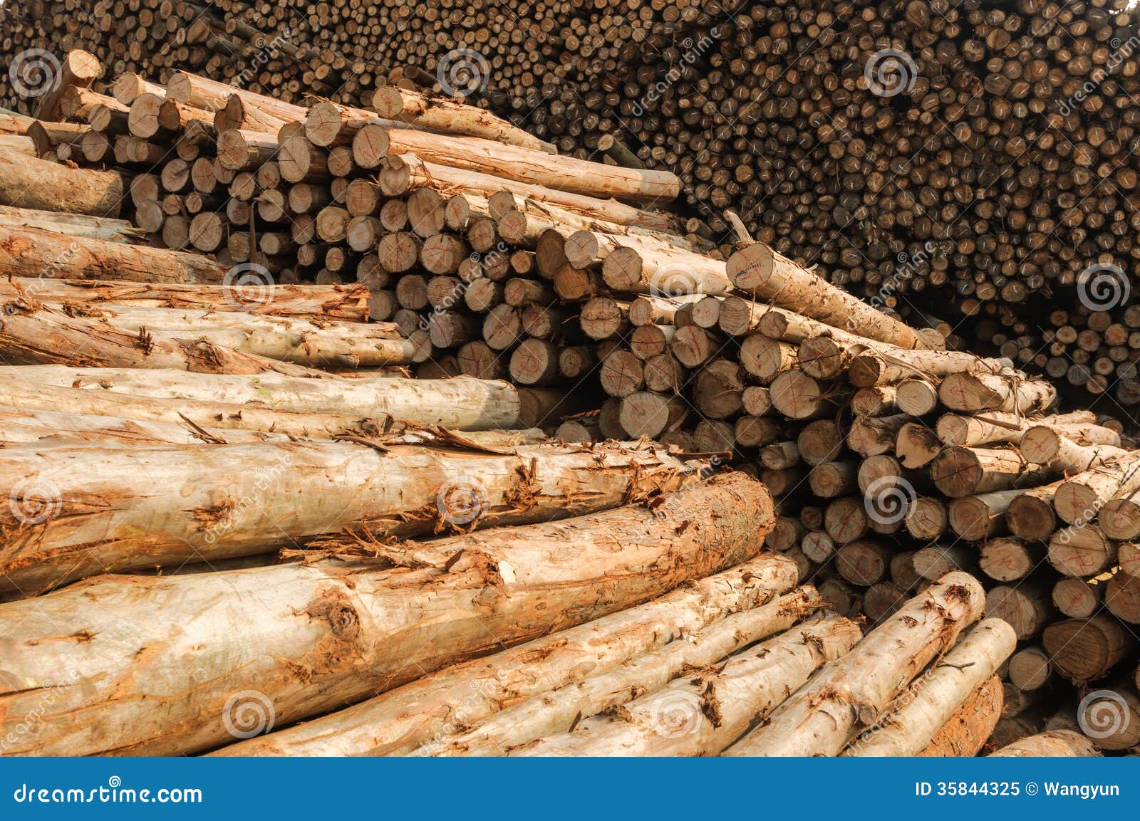 Timber stock image. Image of felling, flora, lumber, harvest 35844325