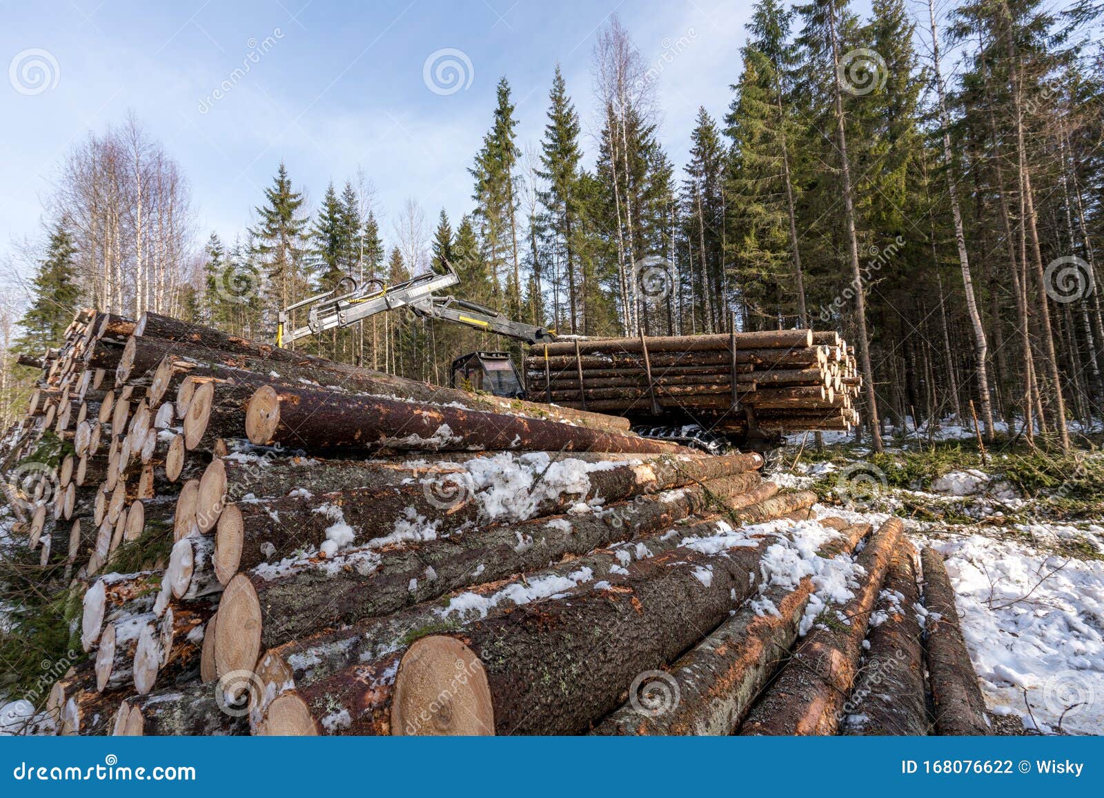 Timber Harvesting. Logger Working in Winter Forest Stock Photo Image