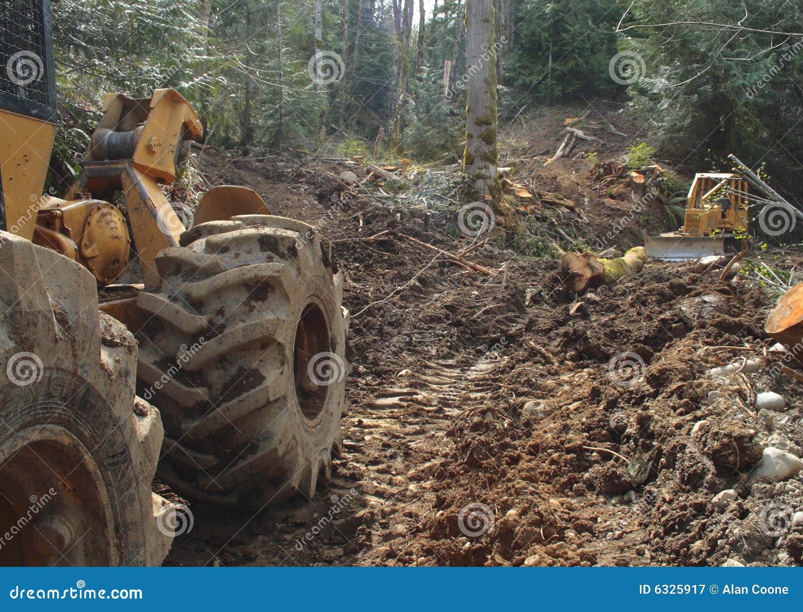 Timber Industry stock image. Image of lumber, logging 6325917