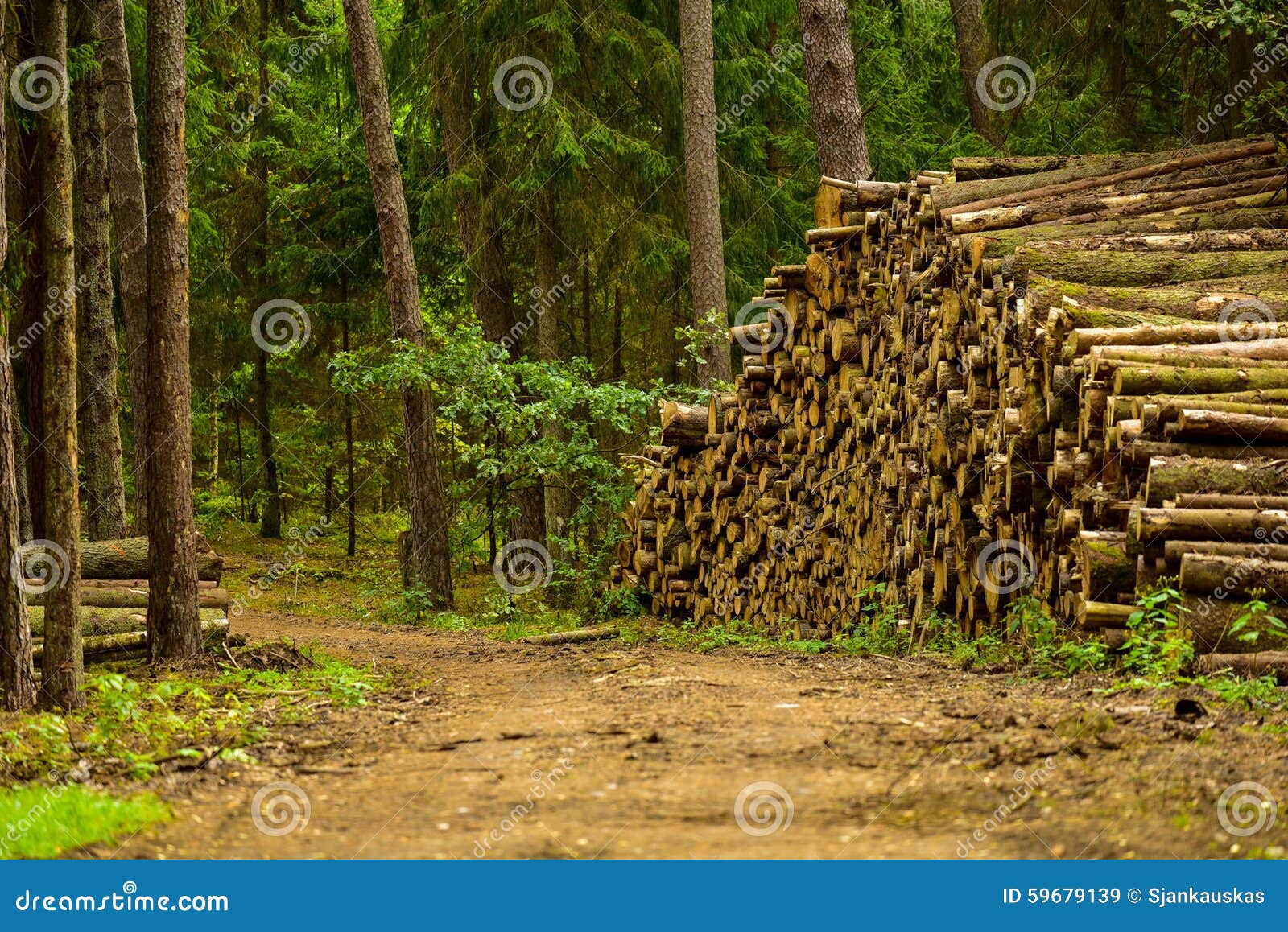 Timber industry, lumbering stock image. Image of forest 59679139
