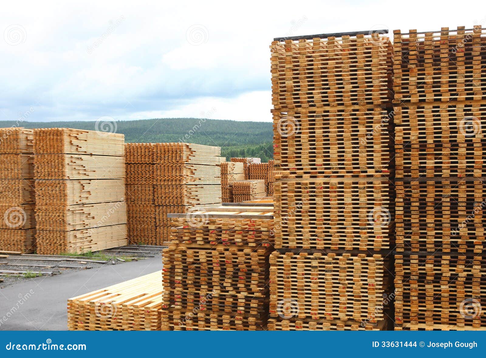 Timber or Lumber Yard with Stacked Pine Stock Photo Image of outdoors, sawn 33631444
