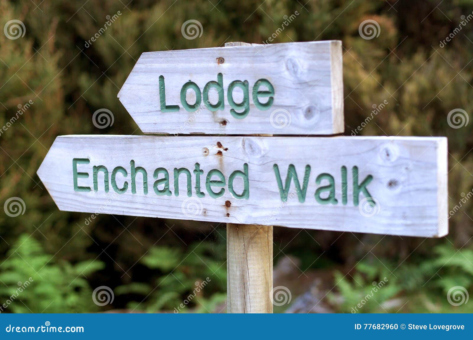 Timber outdoor trail sign stock photo. Image of lodge 77682960