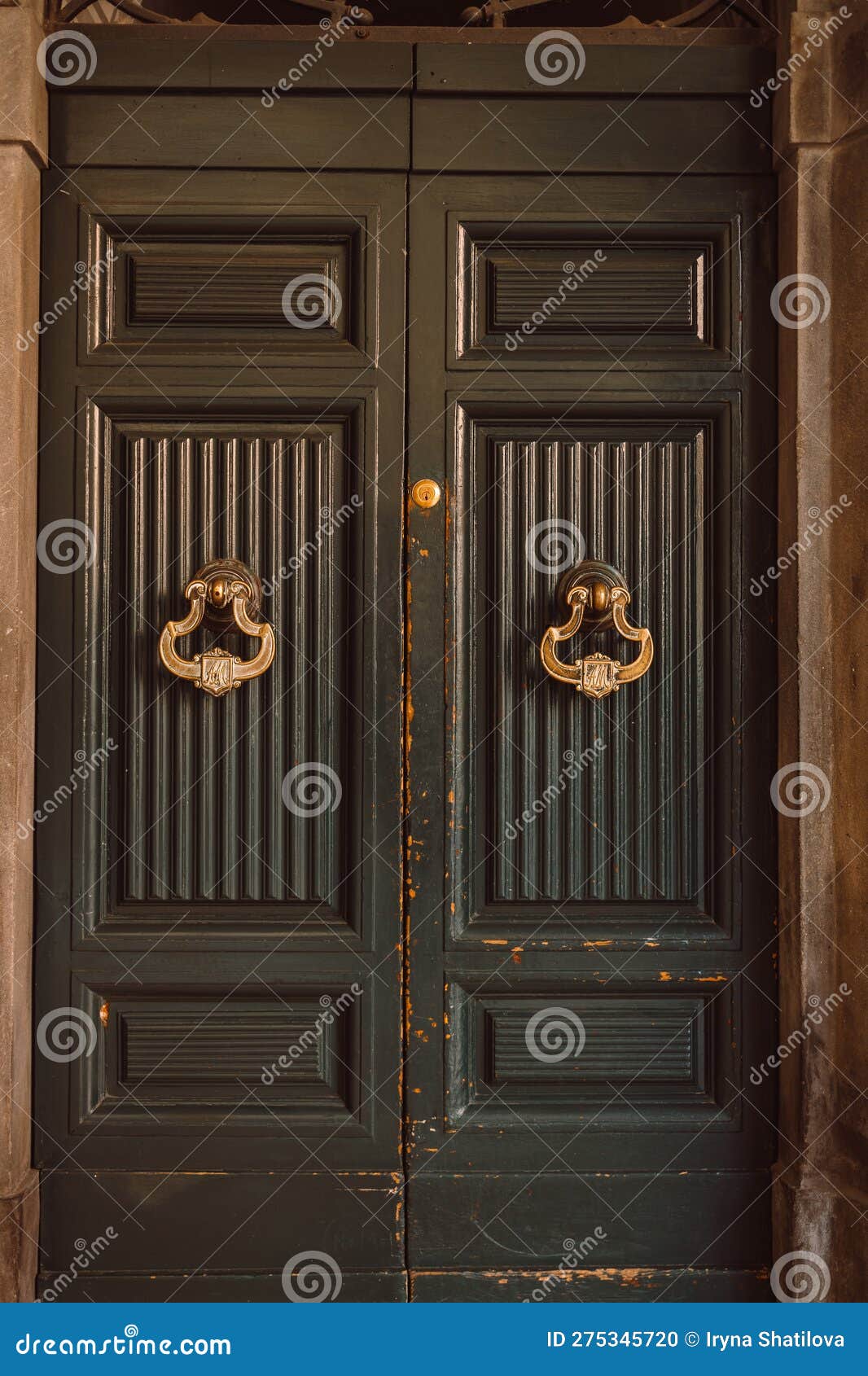 Timbre De Puerta En Forma De Abejorro En Una Puerta Delantera De Madera  Oscura Foto de archivo - Imagen de entrada, tarjeta: 275345720