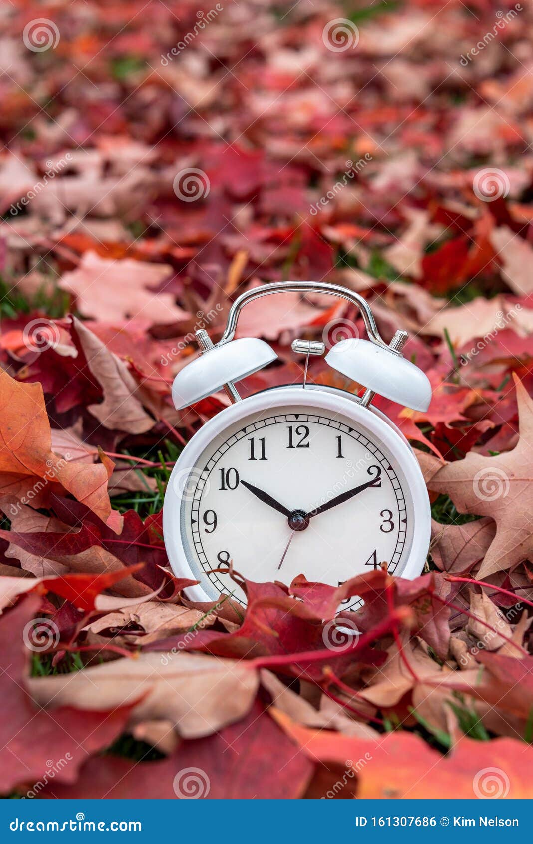 Time Change, Classic White Alarm Clock Outside on Grass Covered with