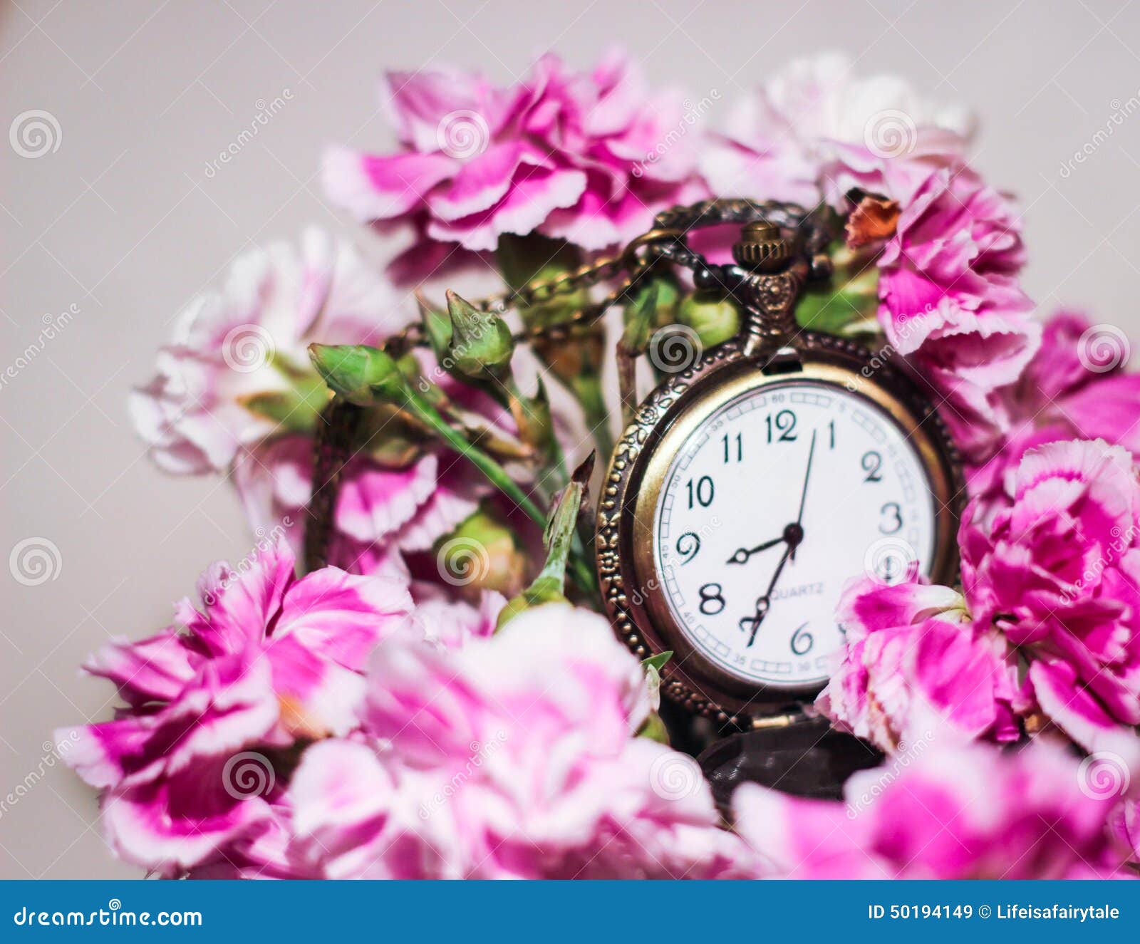 Time Clock Flowers Pink Watch Stock Image Image Of Beautiful Look 50194149