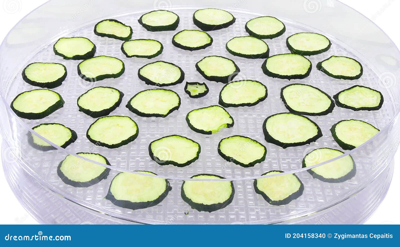 Timelapse of Drying Zucchini Vegetable Stock Footage Video of aromat