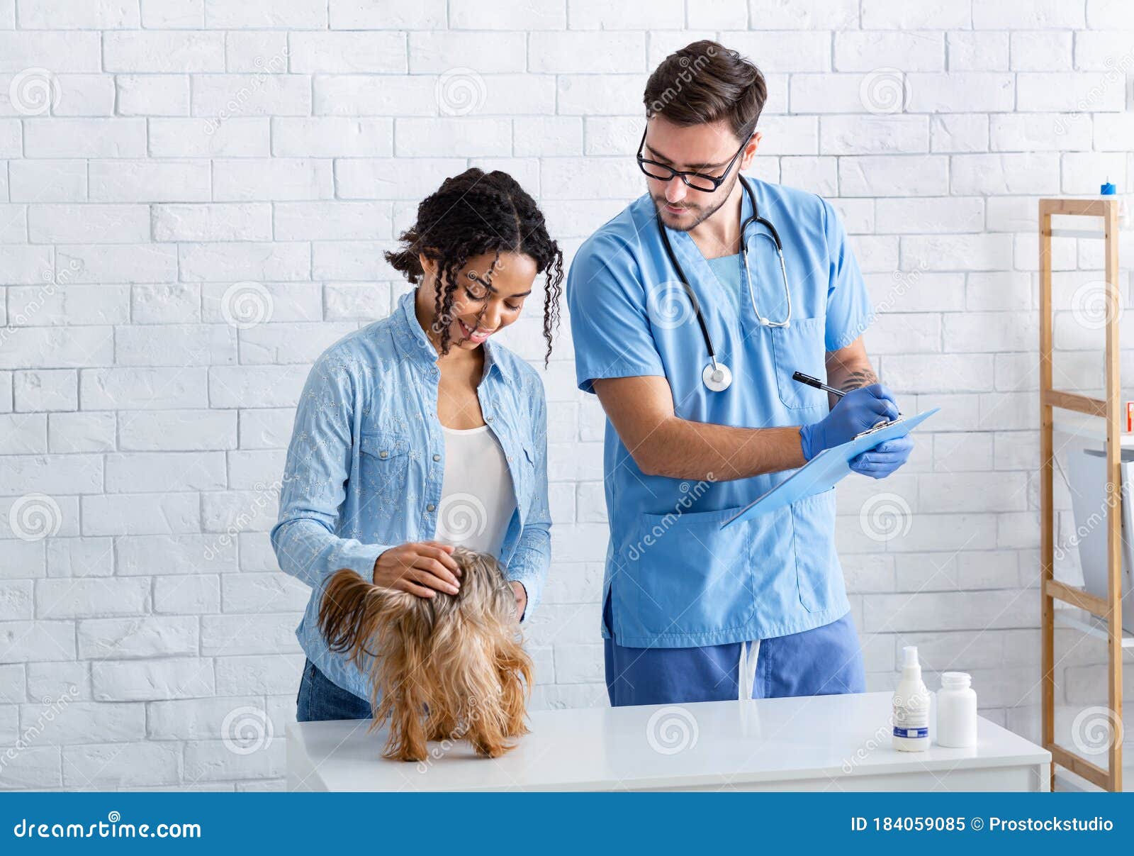 pet doctor hospital