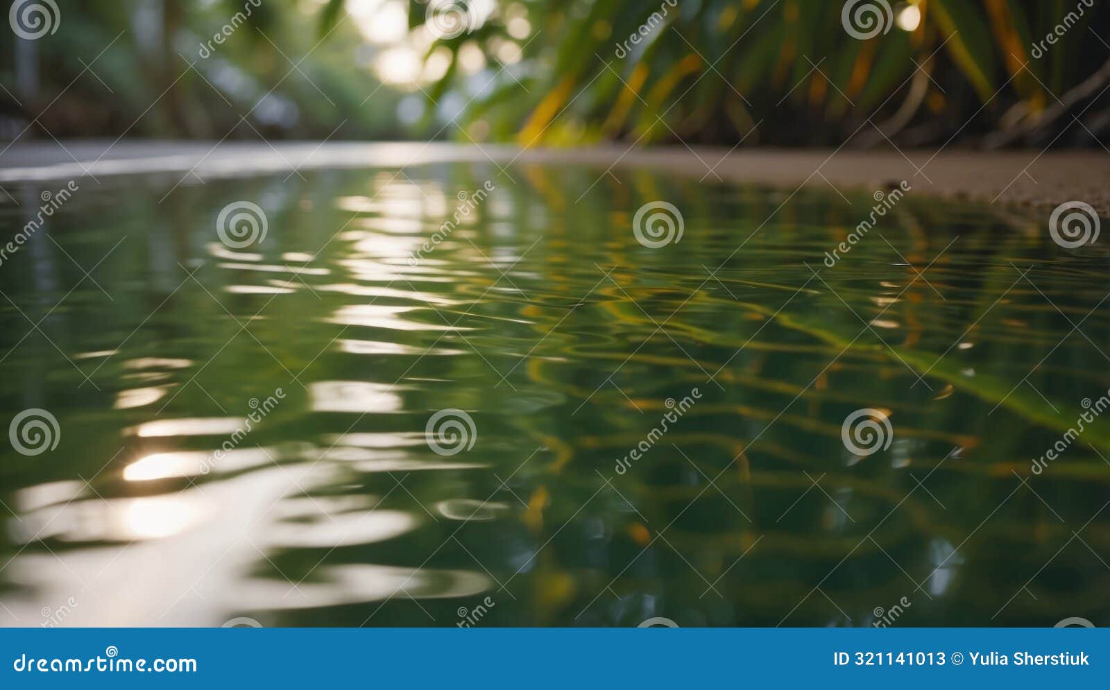 timelapse of a palm leafs reflection on a glossy surface.