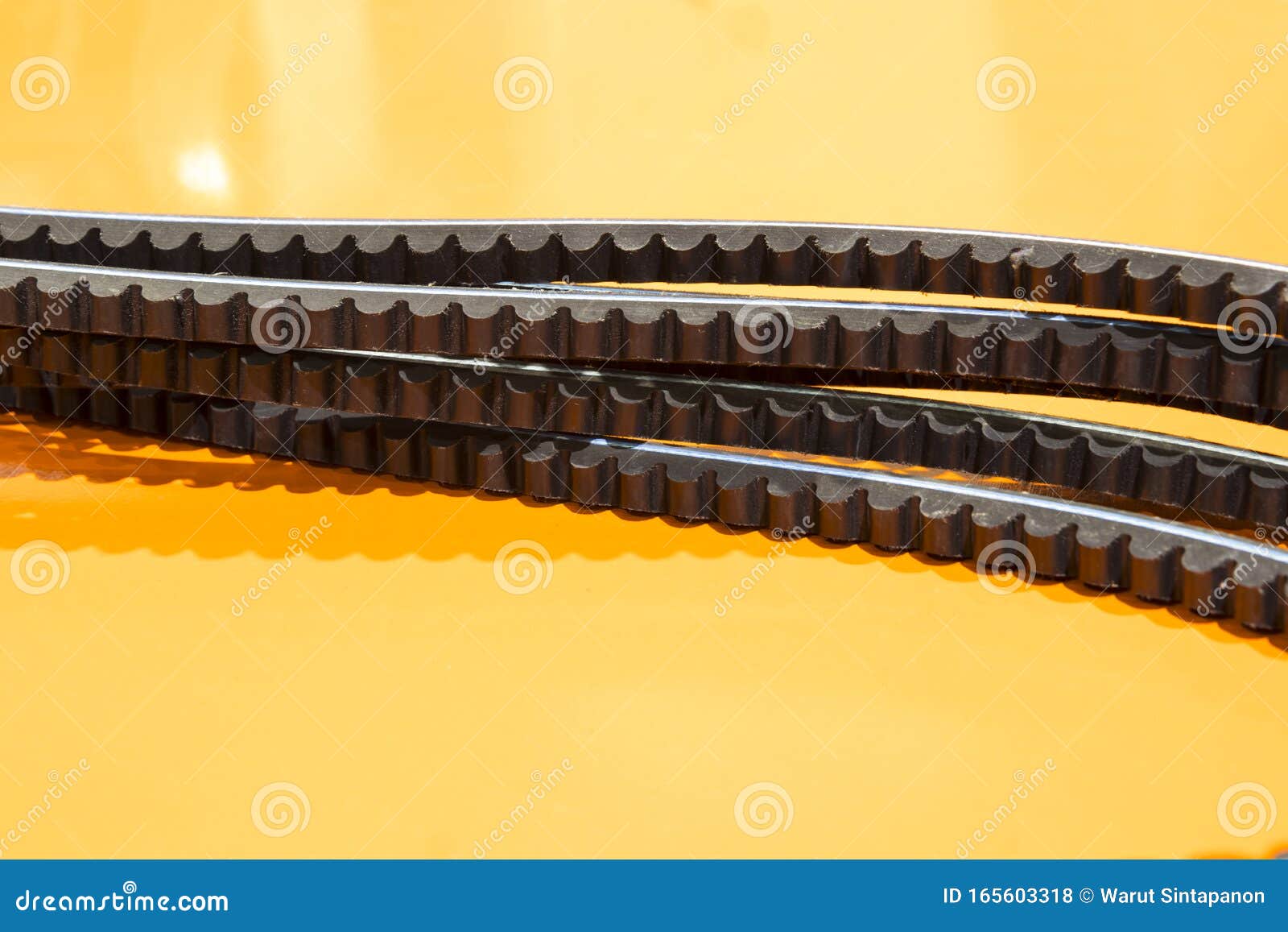 Timing Belf for Automotive Engine Stock Photo Image of timing, piece