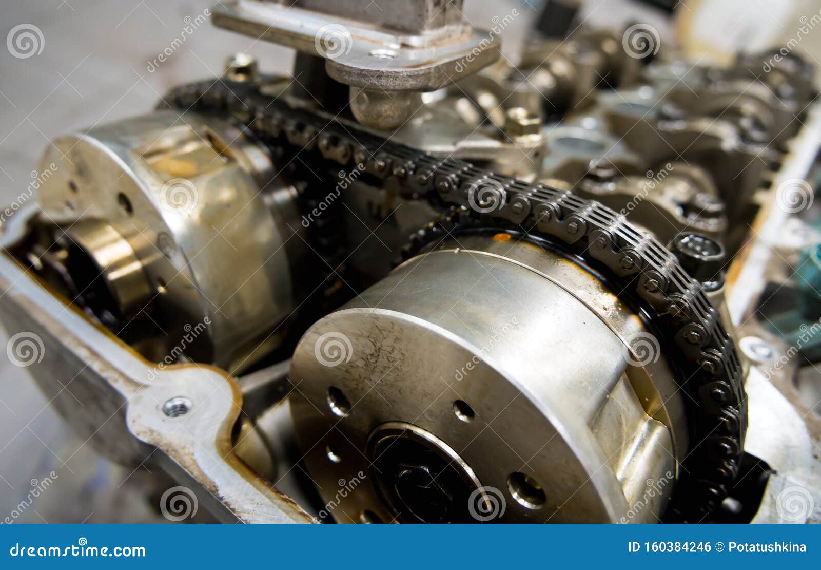 timing chain drive in a car engine