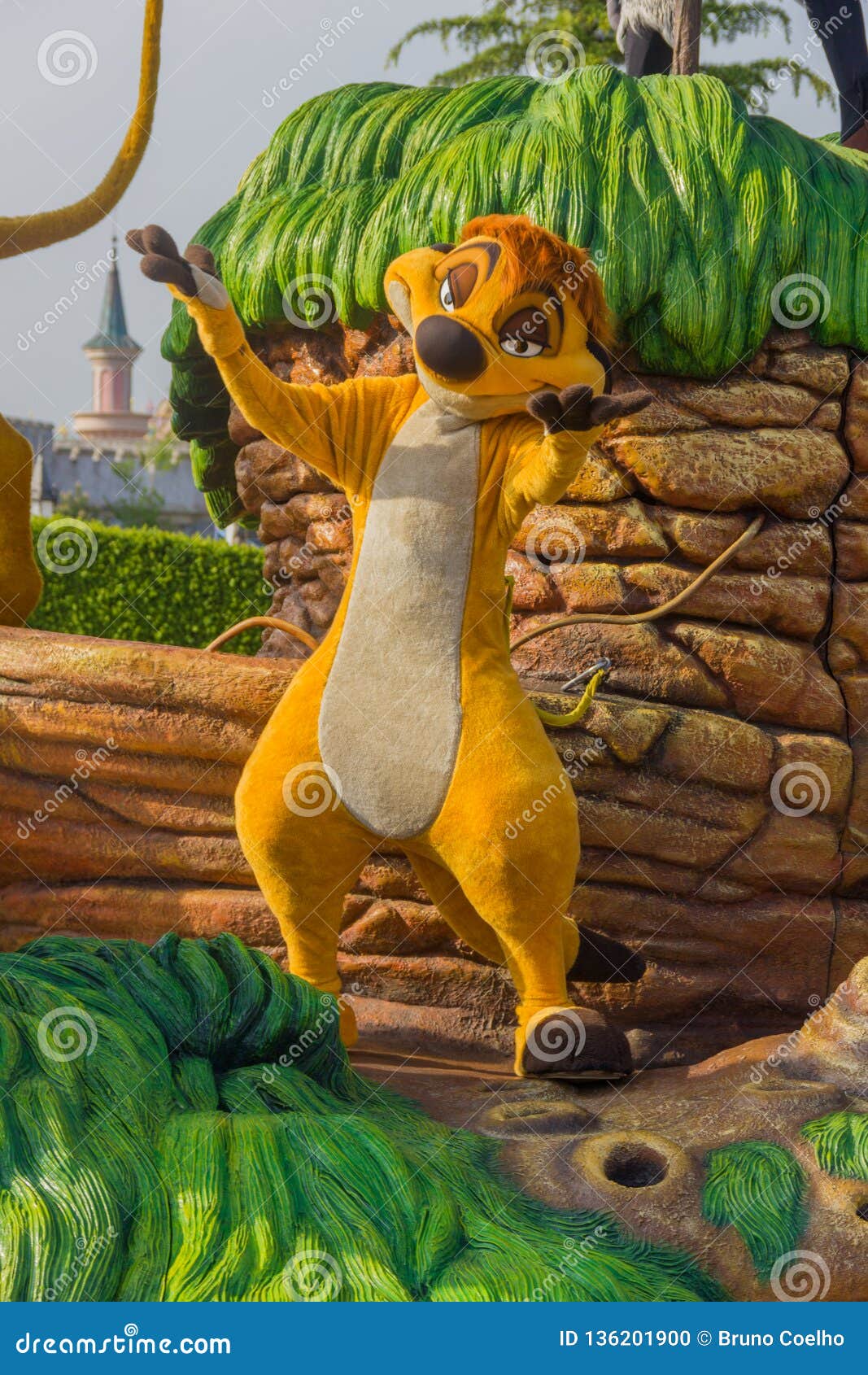 Timon from the Lion King editorial image. Image of animal - 136201900