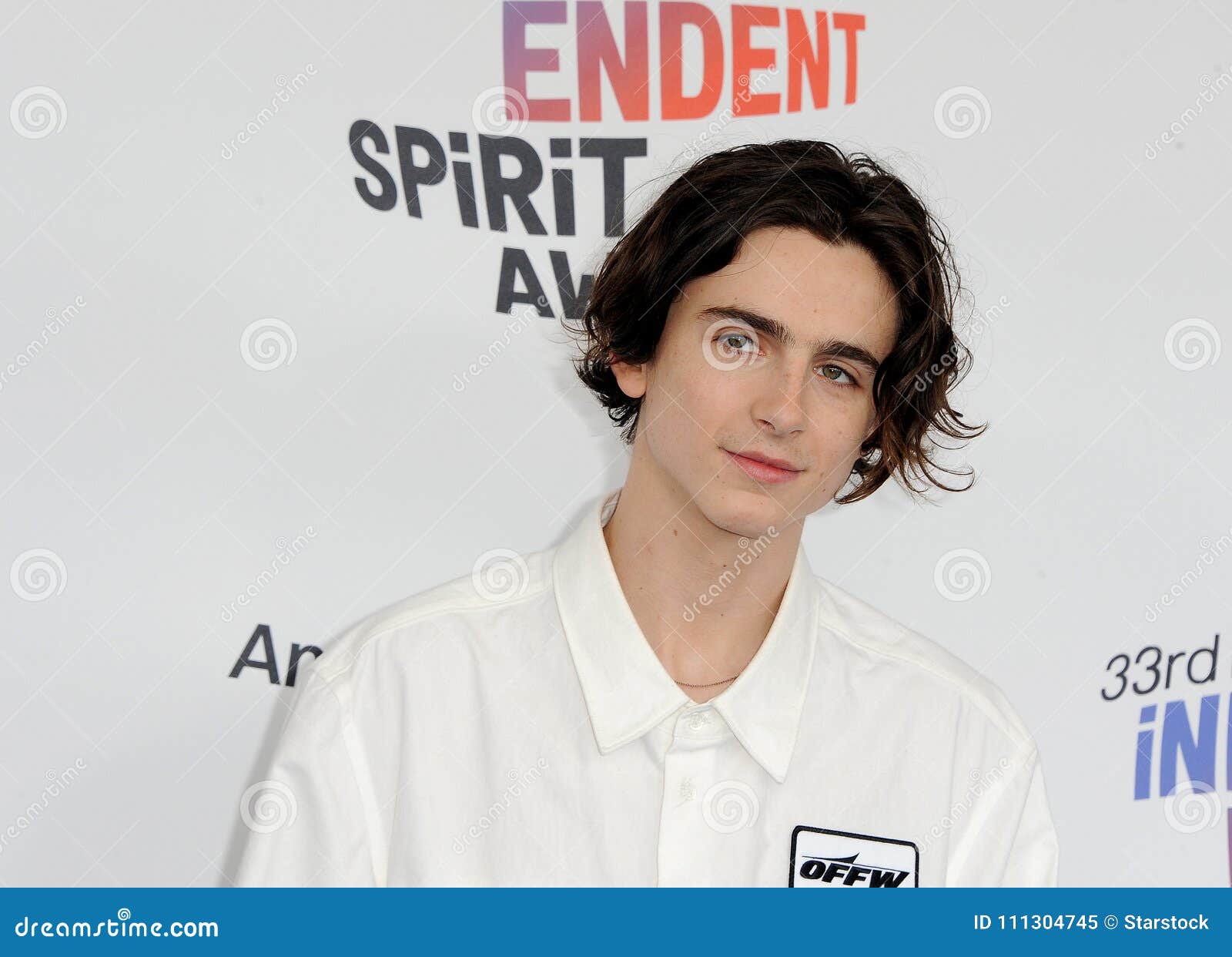 Timothee Chalamet editorial image. Image of gala, actor 111304745