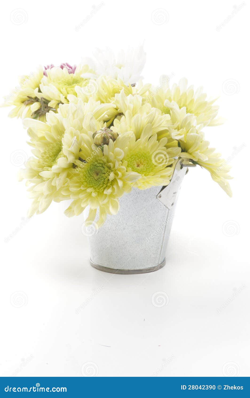 Tin Buckets with Yellow Chrysanthemum Stock Photo Image of bouquet