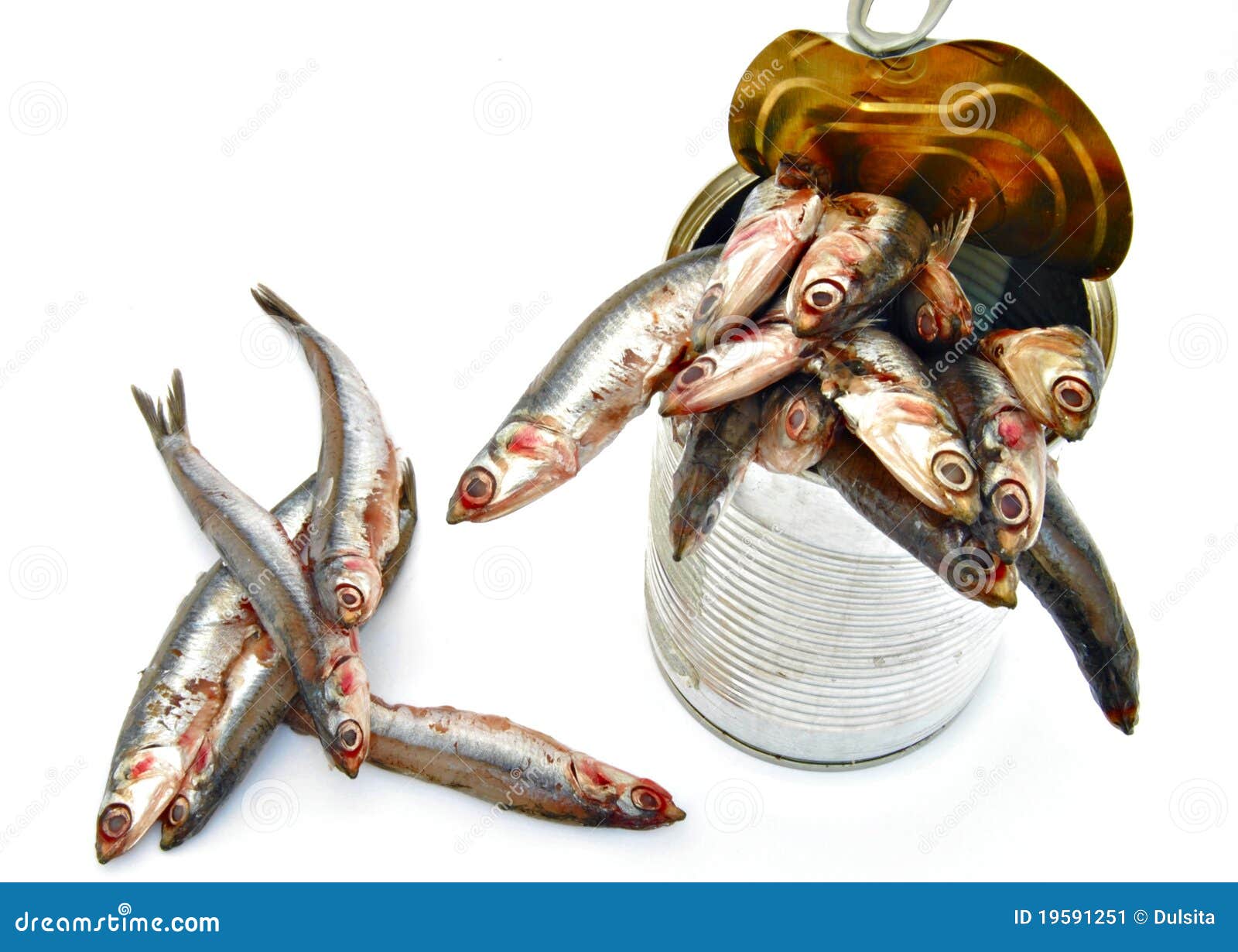 Tin can with anchovies stock image. Image of feast, anchovy 19591251