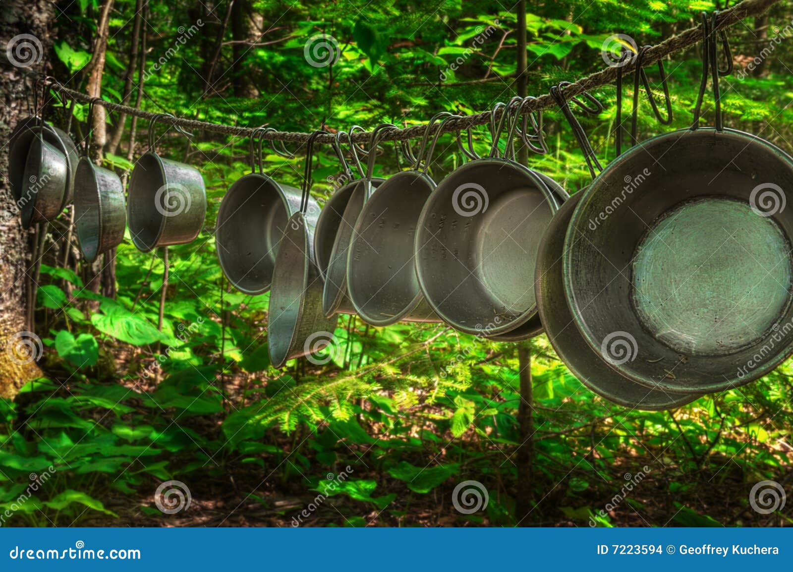 Tin Cups Hang on Line in Woods Stock Photo Image of line, camping